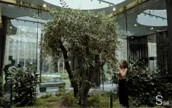 Растения в интерьере by Studia 54 Растения в интерьере by Studia 54