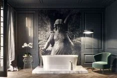 Design of a flat in Paris